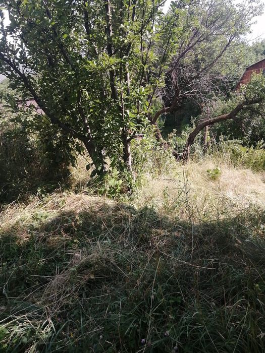 Участок дача звезда