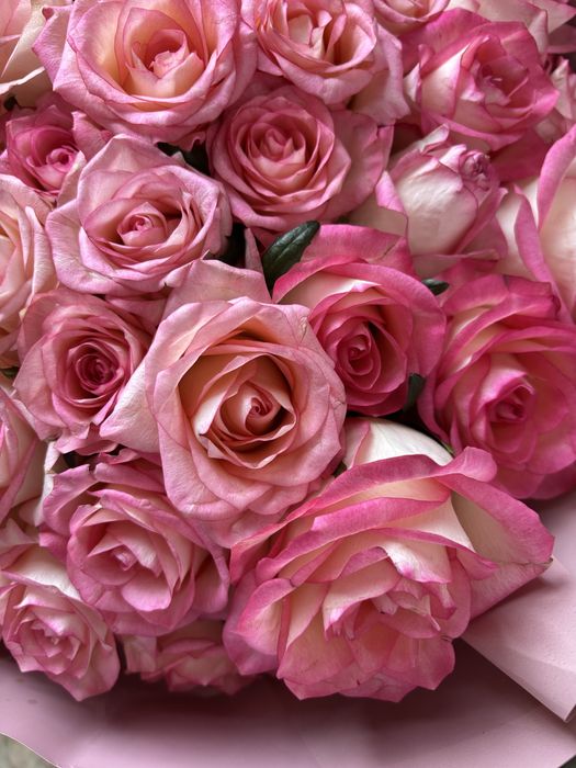 Продам цветы, моно-букет 51 роза.