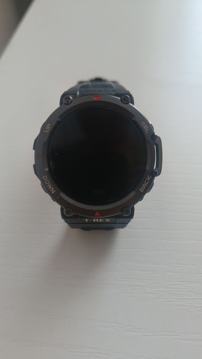 Часы Amazfit T-Rex 2