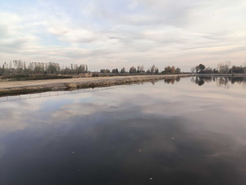 Sotiladi noturar 7.2 GA Yangiyol Продается нежилая недвижимость 7 ГА.