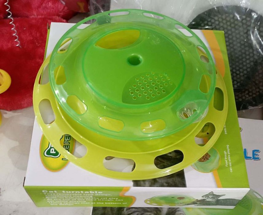 scottiw strayt heyland