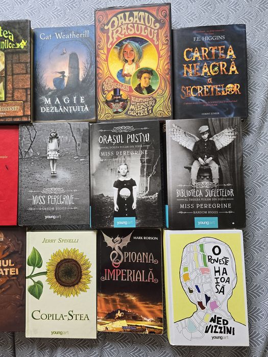 Lot de cărți pentru adolescenti