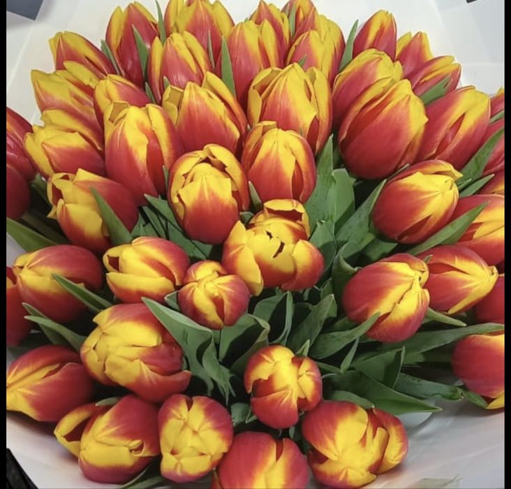 Цветы цветы цветы пияз