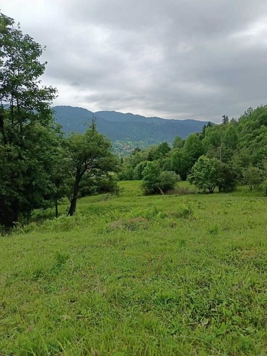 Teren extravilan, 11800 m2, comuna Agas, sat Preluci, jud Bacau