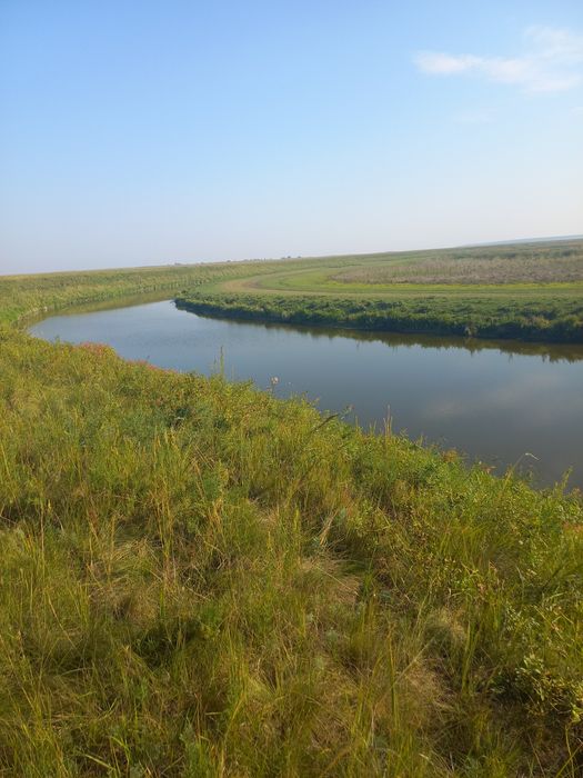 Ферма, Фазенда, Откорм площадка