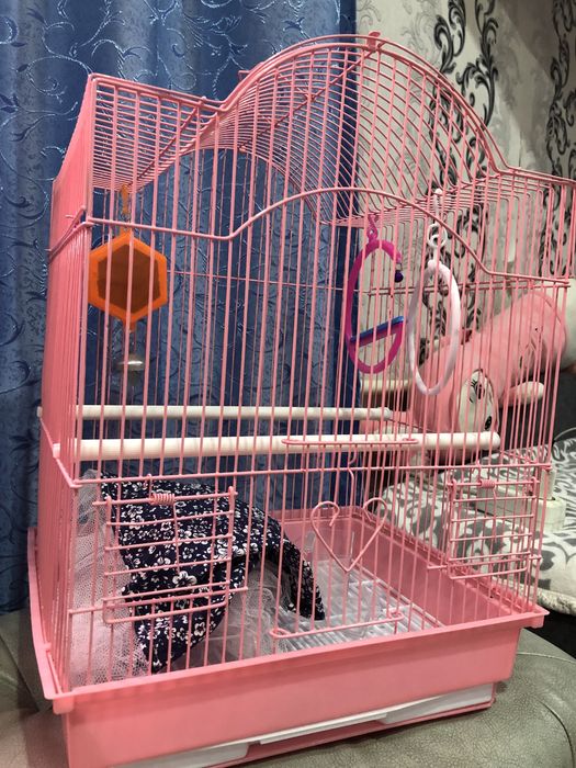 Клетка для попугвев