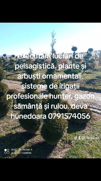 Peisagistica .. pavaje