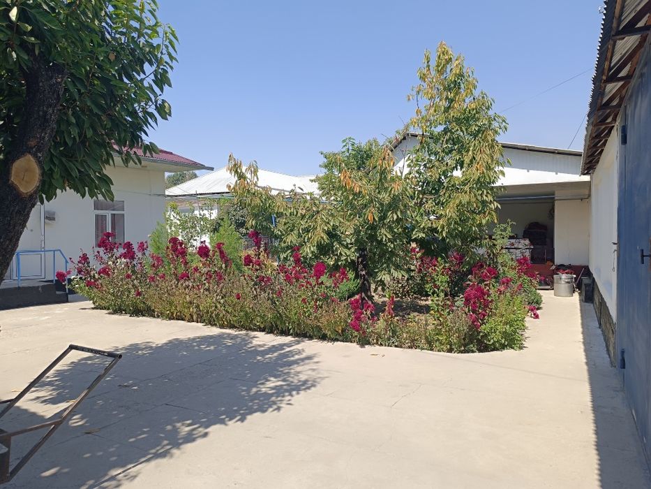 Uy sotiladi 12 sotik Yangi Ozbekiston bogiga 20 minutli yol