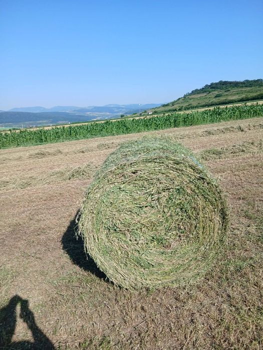 Vind Baloți mai multe detalii la telefon