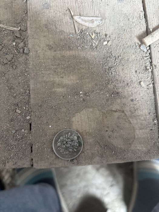 японскии монета