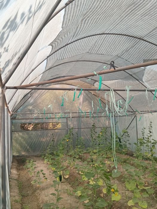 2 sotixli parnik sotiladi