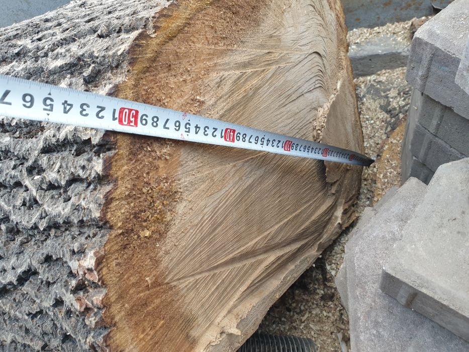 Массив ореха, ствол