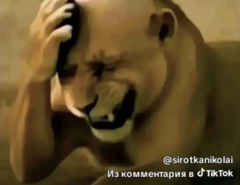 Продажа акаута с вс чатом в роблоксе