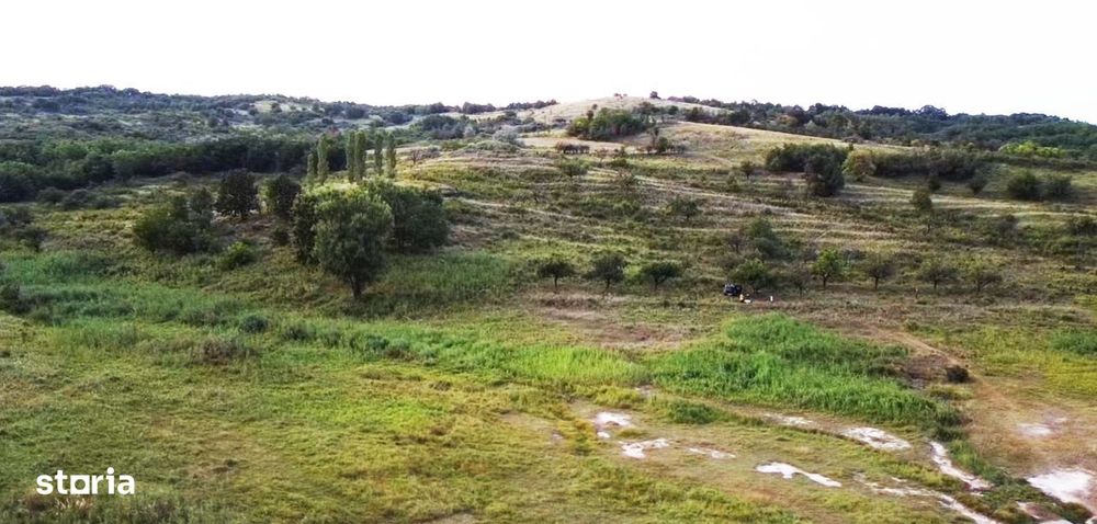 Vând Teren extravilan Beceni, Jud. Buzău, 63.000 mp