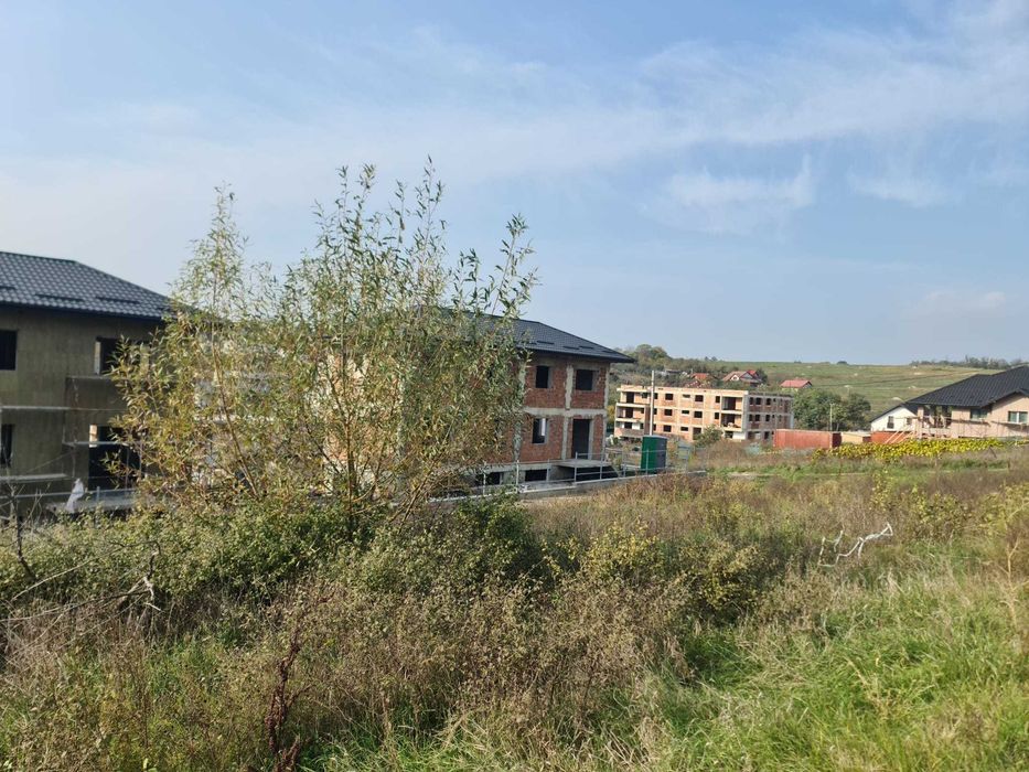 teren Bucium(intravilan Iași) 791 mp + 118 mp(cale acces) - Lidl