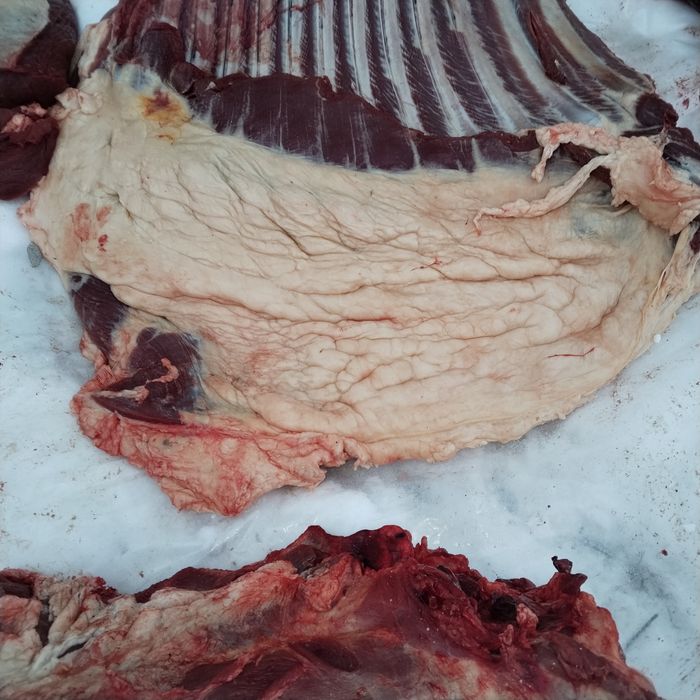 Мясо конины 2600