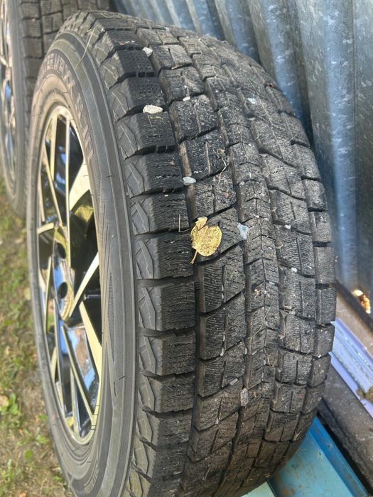 Шины зима Dunlop