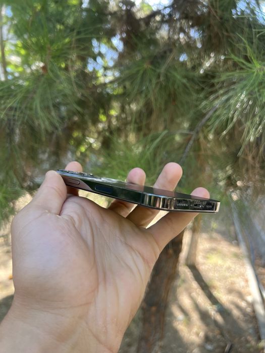 Iphone 13 pro iclpud