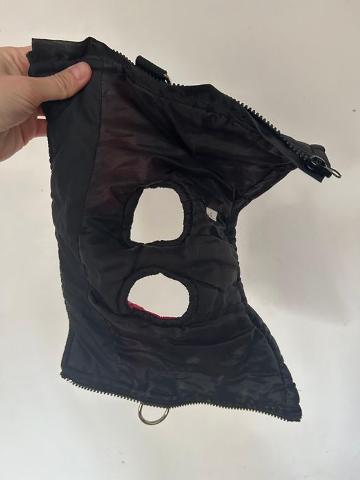 Одежда для животных