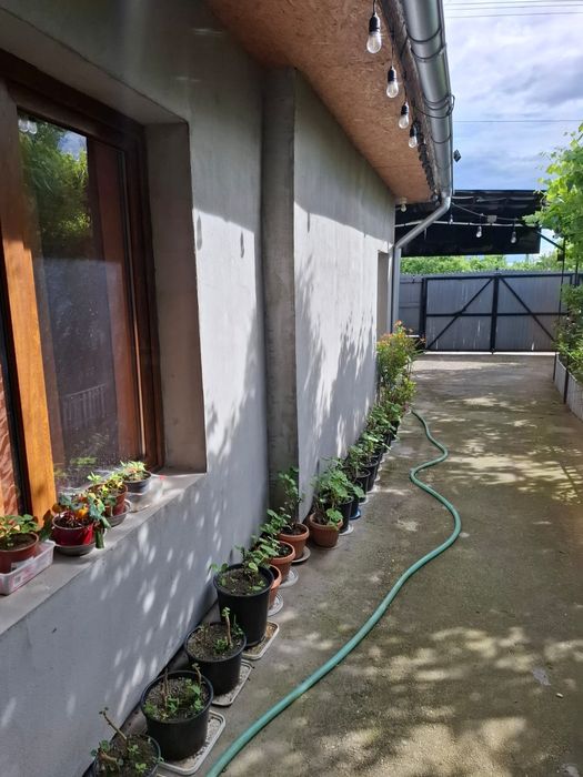 Vand casa în Stefanesti Argeș sat Golești la numai 8 km de Pitesti