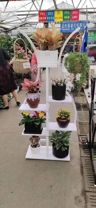 gullar uchun pastafka