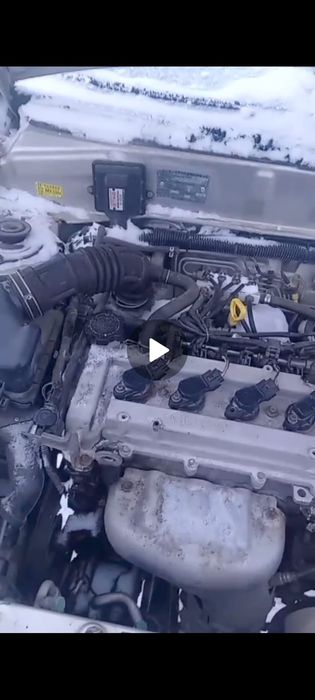 Матор Китайский фав