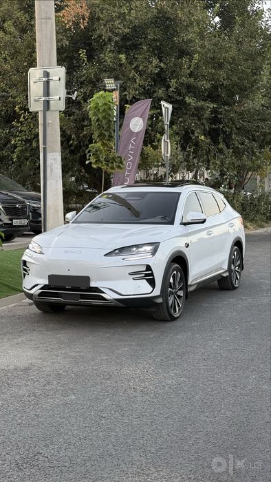 Byd Champion Smart