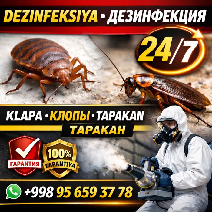 Dezinfeksiya дезинфекция 24/7 dizinfeksiya клапа таракан klapa tarakan