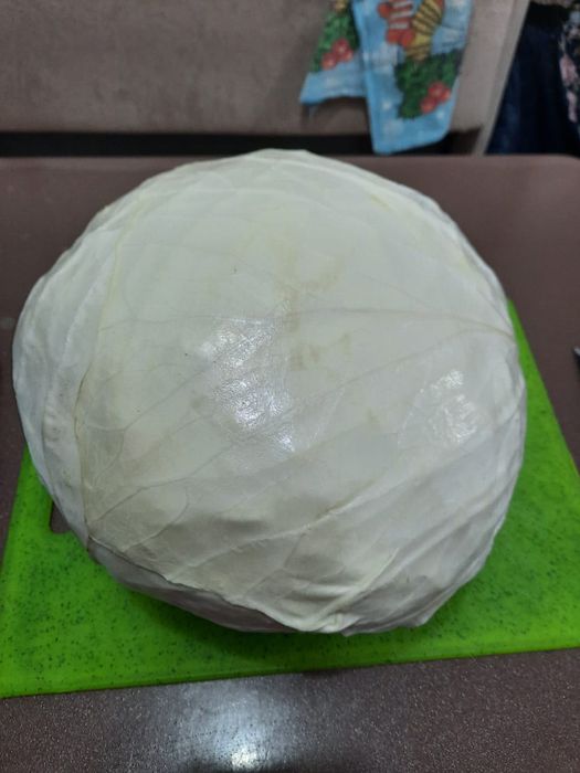 Продам домашнюю капусту