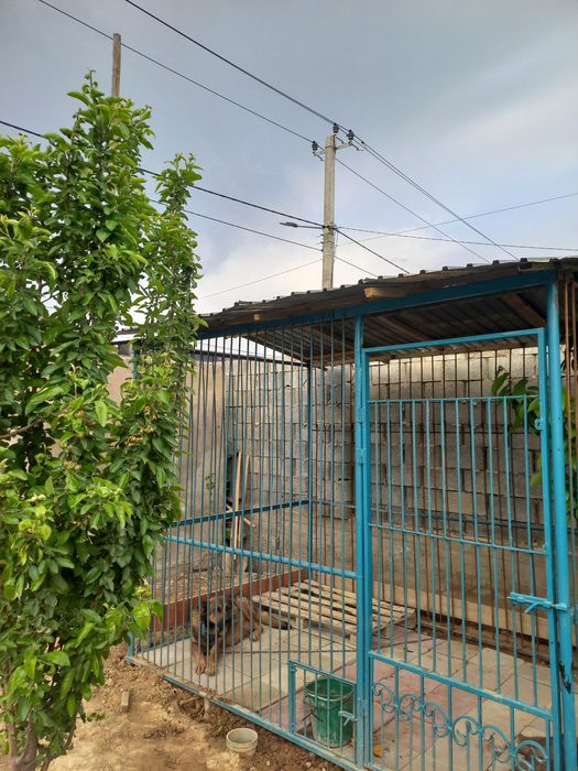 Вольер для собак
