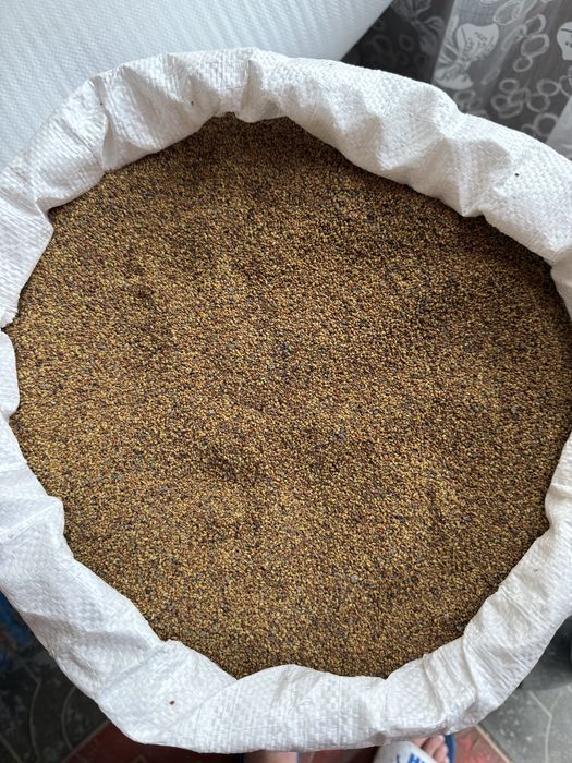 Vând Semințe lucernă