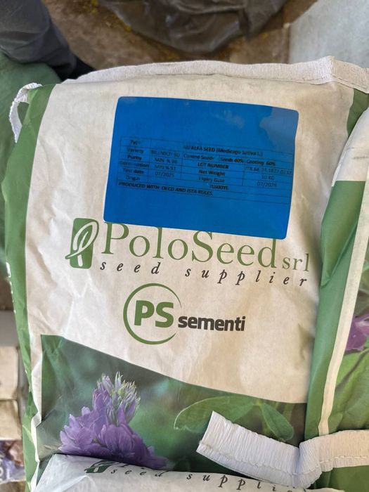 Беда Уруг [TURKIYA] Optim