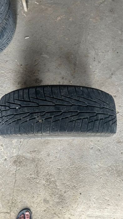 автошины  зимние