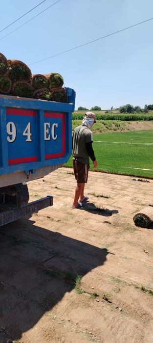 Kamaz klines sheben kompot qum oluga tosh клинец кампот shagal