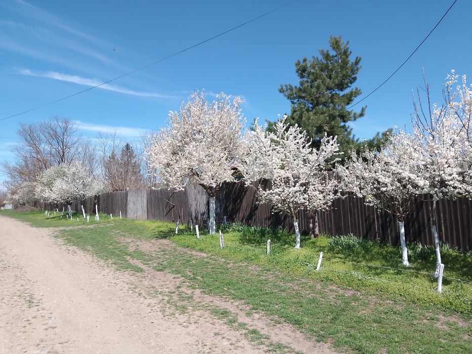 Casă bătrânească 45km de București