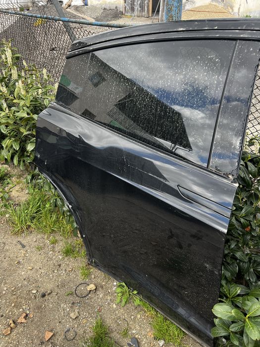 Tesla x usa fata spate