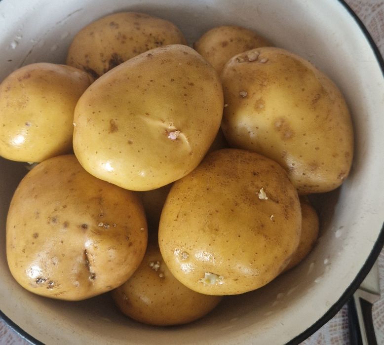 Продам домашний картофель