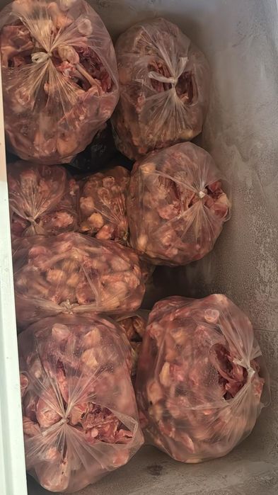 Корм для собак свежий