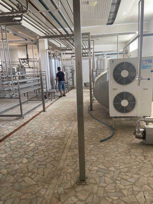 Сдаётся в аренду молочное оборудование