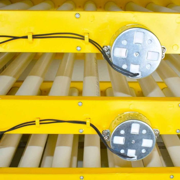 Професионален инкубатор, Люпилня MS-300 яйца (DC 12V / AC 220V)