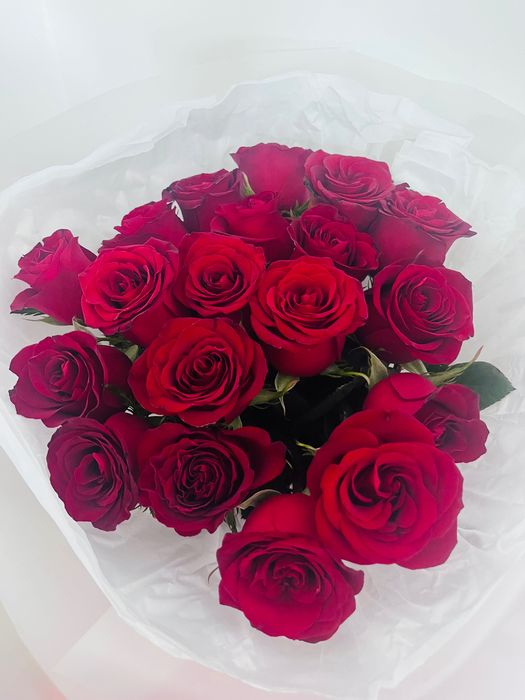 Цветы красная Роза