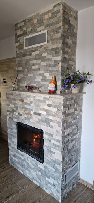 Seminee  pe lemne economic