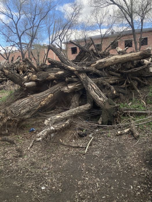 Дрова древесные уголь