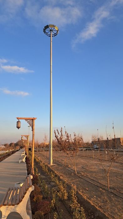 Апора асфишена дорожни