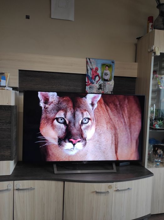 Смарт Телевизор SONY BRAVIA 49 инча