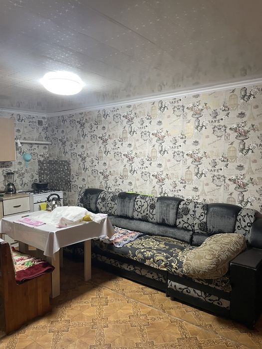 Дом с бизнесом