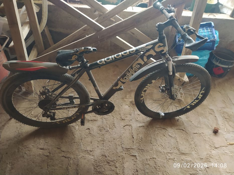 Velosiped holati oʻrtacha yuradi