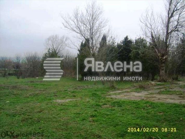 Продава се Магазин в с. Златари, Област Ямбол - 253 кв.м за 198 €/кв.м - Снимка #5