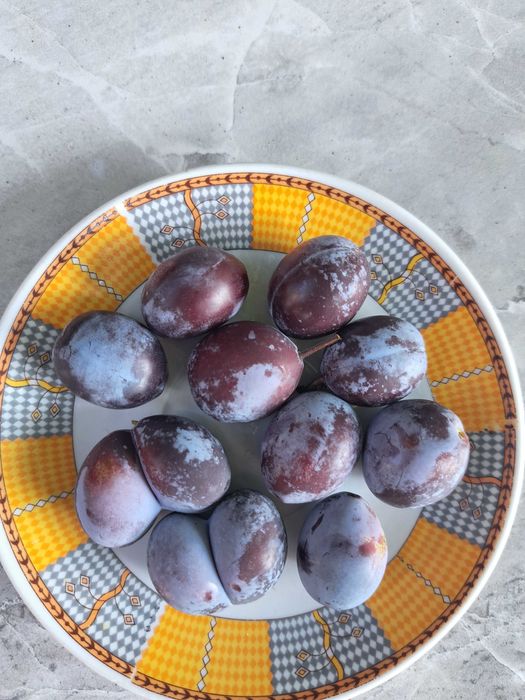 Prune negre (perfecte pentru tuica)