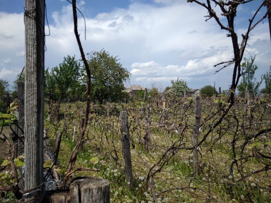 Teren si casa de vanzare Lespezi - Bursuc Deal